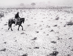 joeinct:  Cowboy, Arizona, Photo by Pirkle