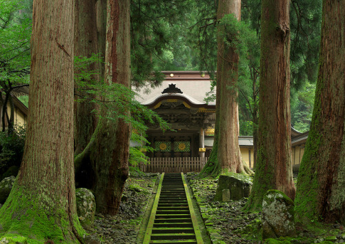 ourbedtimedreams: 永平寺 by Hisa-nori on Flickr.