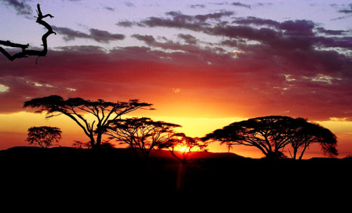 bigclitblackwomen:  africa-makanaka:  stories-yet-to-be-written:  Beautiful Photos Of Africa  http://africa-makanaka.tumblr.com   Tru eden