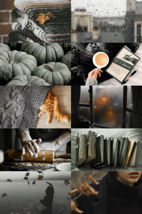 skcgsra:autumn in ravenclaw