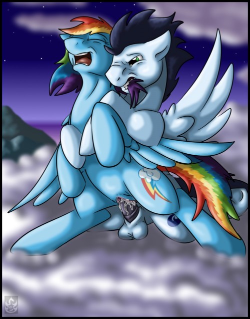 fillyfelix64:Requested: Rainbow and Soarin’ porn pictures