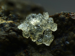 themineralogist:  Heulandite (by yaiba0390)