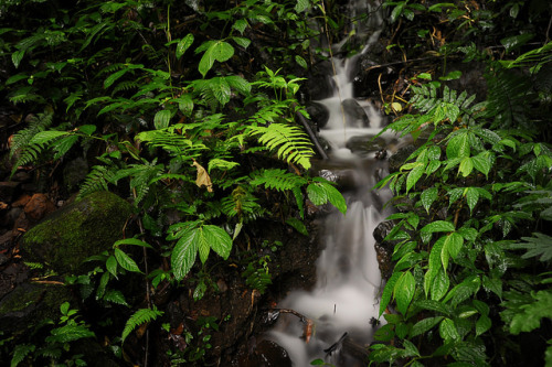 90377: Sawer waterfall by CGIAR Consortium on Flickr.