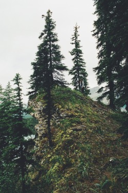 alysharagu:  Meet me at the top.