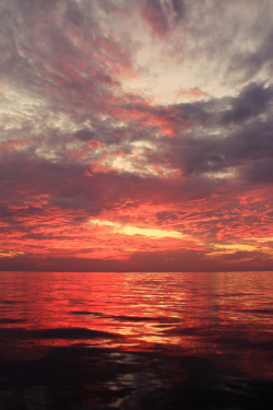 etherealvistas:  Pink Sky (Maldives) by Abllo™