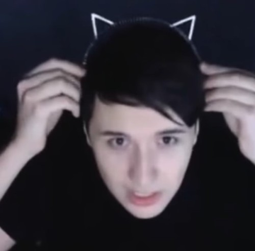 dansucc:cat ears ( x / x )