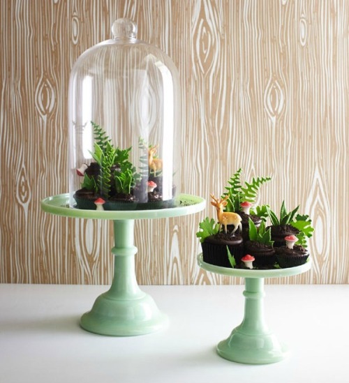 ugly–cupcakes:DIY CUPCAKE TERRARIUM