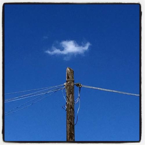 ACCRCCO #lavoroabborracciato #lageografiadellenuvole #approssimazione #segnievidenti #cielo #pali #palinonpagliuzze
