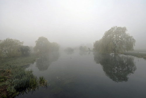 BAREFOOT IN THE MIST by DESPITE STRAIGHT LINES on Flickr.