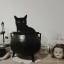 potions-and-poems