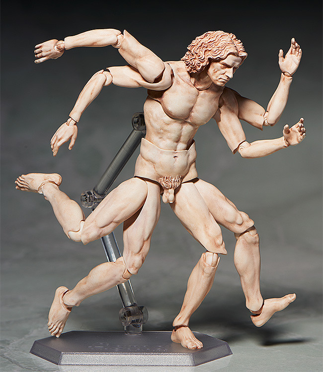 ohnoraptors:  figma ウィトルウィウス的人体図 