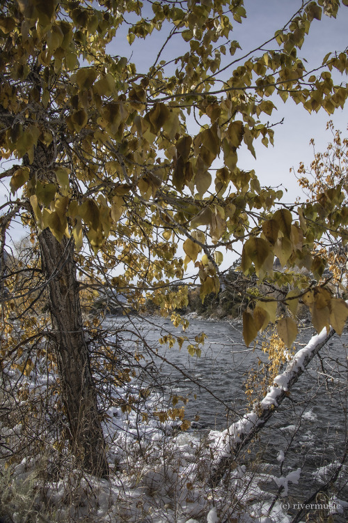 Fresh Autumn Snow: &copy; riverwindphotography, October 2020