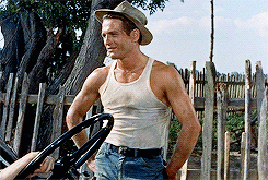 tank-top-scenes:  Paul Newman in The Long, porn pictures
