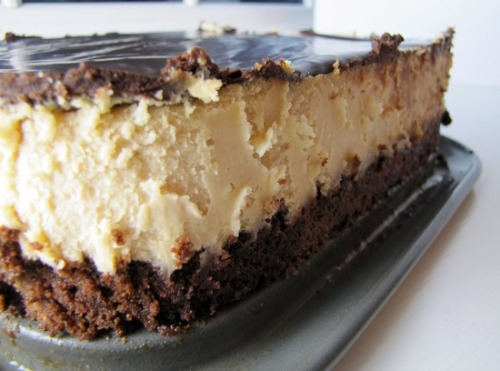sweetntreat:Peanut Butter Cheesecake with a Brownie Crust