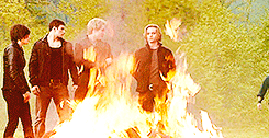 danbiaps:  The Twilight Saga | Fire 