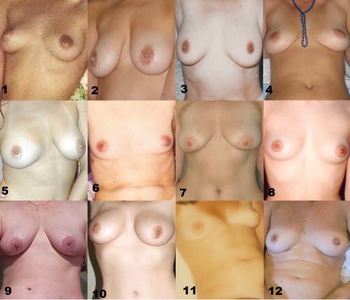 bluebell55:  Now match the same faces used in the Face/Pussy match game from Sundat to their boob ph