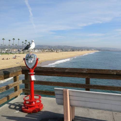 Newport Beach 🇺🇸🕶️ #usa #roadtrip #california #ocean #sun #theoc #newportbeach (presso Ruby’s Diner)