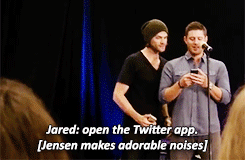 shelovesjared:  winchestrbrothrs:jared and the fans trying to help jensen send his first tweet [x]  and then his face a few minutes later when he realizes the tweet didn’t go through   Awwww 🙊🙊