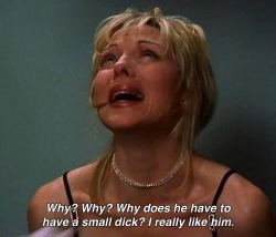 baby-make-it-hurt:  cinnamonandsex:  It’s always the right time for a little Samantha Jones appreciation  Literally my idol haha 