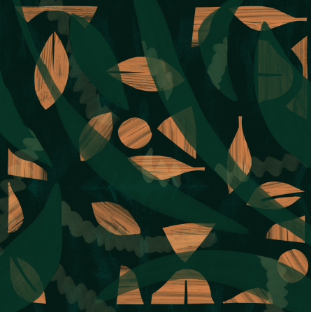 color exploration