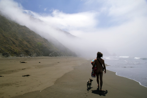 Sex nourishmydirt:  We found the Lost Coast. pictures