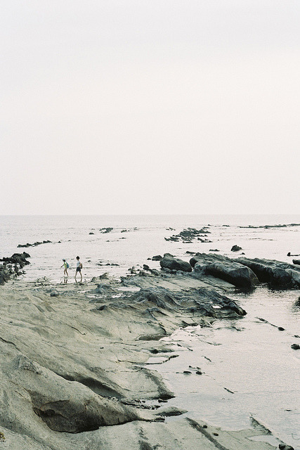 ordinair:  vintage/nature blog  