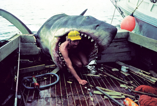 Jaws, 1975. adult photos