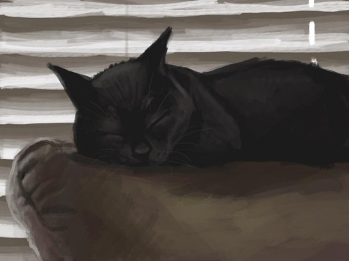 Another sleepy kitty speed painting, this time of Rain, who likes to lay in front of the windows whe