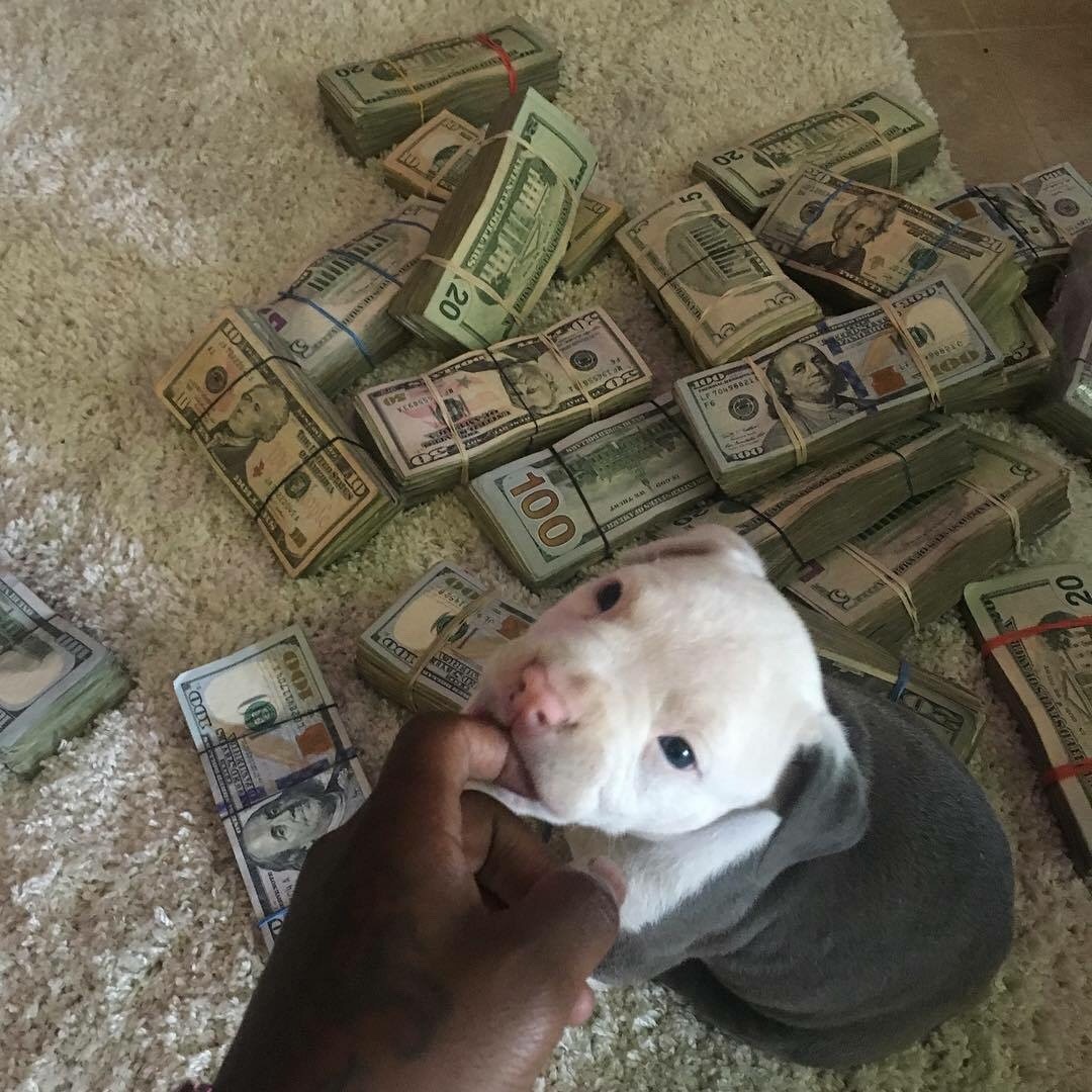😶‍🌫️