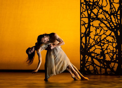Birmingham Royal Ballet, Samara Downs and Yasuo Atsuji in Lachlan Monaghan’s “Summer, Autumn” sectio