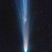 wonders-of-the-cosmos:This photo of Comet Leonard was taken from a remote facility in Namibia.SpaceWeatherGallery.com/Lukas Demetz / Michael Jaeger