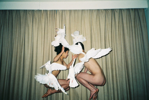 ehais: gutty-bloods: renhang.org RIP Ren Hang, one of my favorites artists of all times.