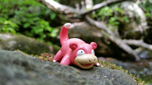 dinobot711:Slowpoke - Dopey PokemonIt is always vacantly lost in thought, but no one knows what it i