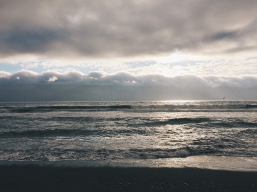 wbsloan:  Day 4: Gold Bluffs Beach