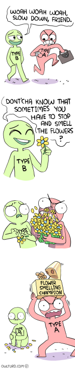 Love this!Source: www.owlturd.com