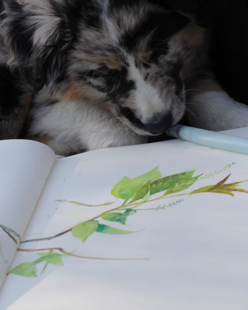 First sketching adventure! Winnie’s holding my brush, the little prodigy! #sketchbook #pleinair #koi