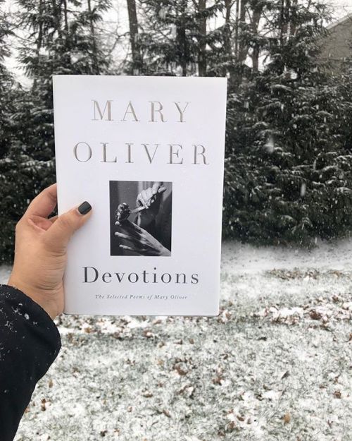 Our favorite snow day (okay everyday ) activity ❄️ What are you reading this weekend? #maryoliver #i