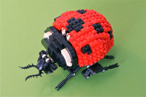 klikkinfo:
“Technic Ladybird / Technic katica
source / forrás: arcanemettles
”
This is an awesome ladybug! Love all the detail!