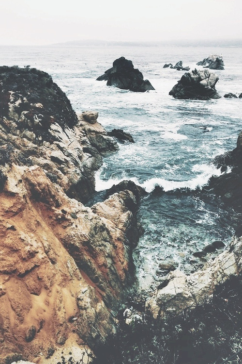 tooweirdto-live-toorareto-die:  ▲ 
