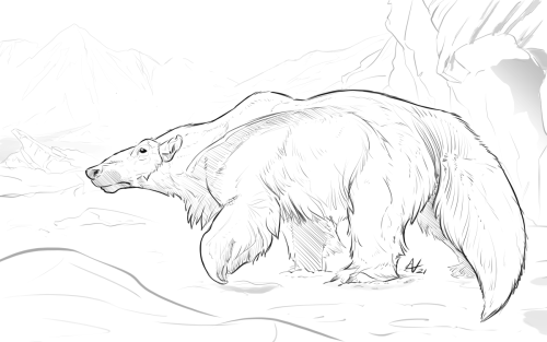  The design is a combination of polar bear, anteater and caribou.A large carnivore that lives within