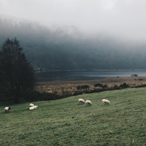 theatticoneighth:Enjoying our last day of winter dreaming of running off to the countryside… @laur