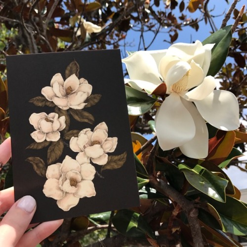 Happy Mother&rsquo;s Day to all the moms out there! Here&rsquo;s my magnolias postcard along with a 