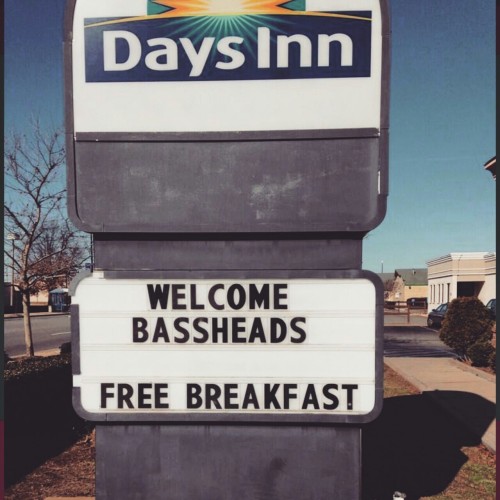 Basslights 2015