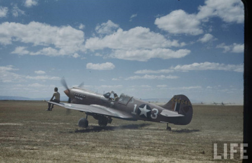 usaac-official:A 57th Fighter Group P-40 in North Africa, 1943