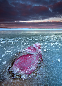 seebest:    I went to Sandpoint Beach last night to shoot the sunset and full moon rising over the lake. The clouds killed any shot at the moon but I found this cool piece of wood frozen in the ice. It had hand painted flower pedals on it. I assume its