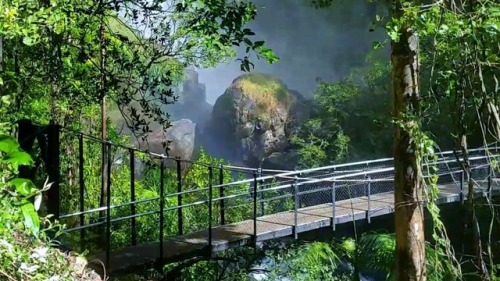 oceaniatropics:springbrook national park, south-east queensland, australia