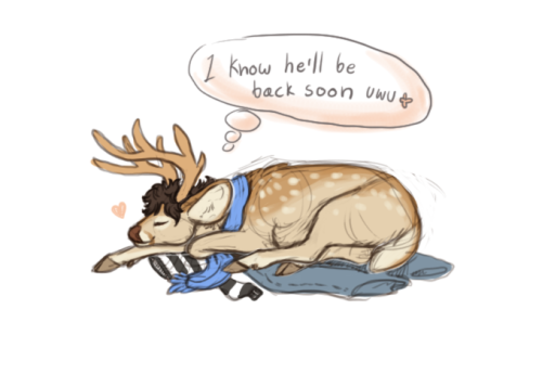 From this post of mineHere i draw it &lt;333As a fawn, the scarf was too big to be used around h