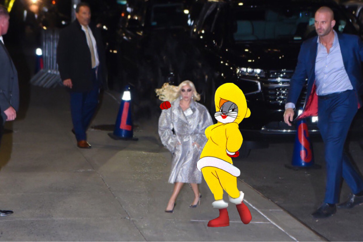 9puppiesdrowninginapool:swiminjello:997:ooo…. lady gagitae bugs