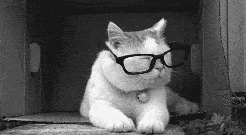 #hipster cat from LAS PALABRAS HACEN LA DIFERENCIA.