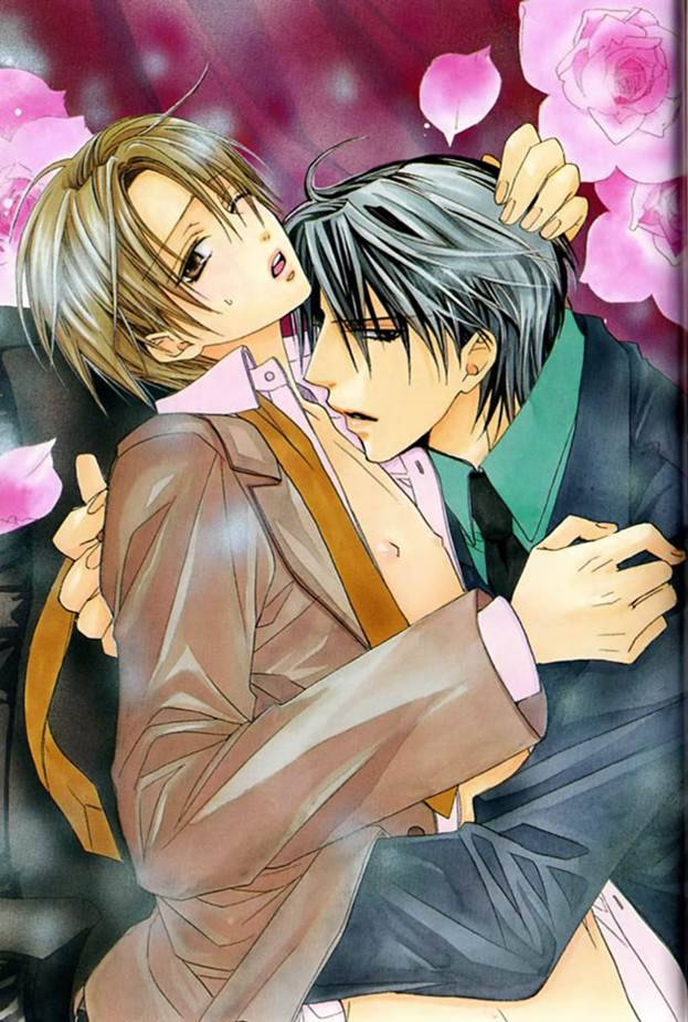 The Yaoi Addiction Society